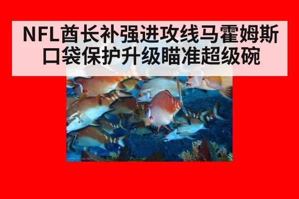 NFL酋长补强进攻线马霍姆斯口袋保护升级瞄准超级碗